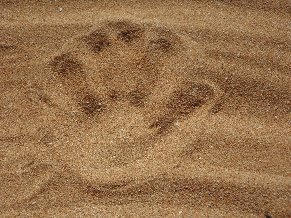 1-sand-beach-reprint-hand-handprint