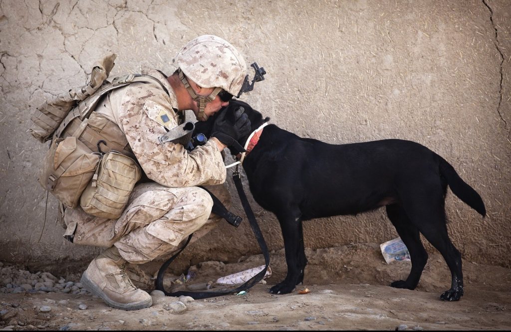 soldier-kissing-his-dog